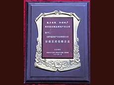 2010年度安徽百姓信任企業（安徽華盛房地產開發有限公司）